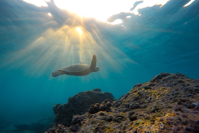 3 Hours Morning Snorkel Sail From Frenchmans Reef - Departure Time and Duration