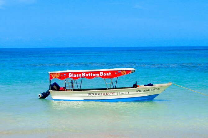 3 Hrs Glass Boat Tour in Punta Cana - Life Jacket Condition