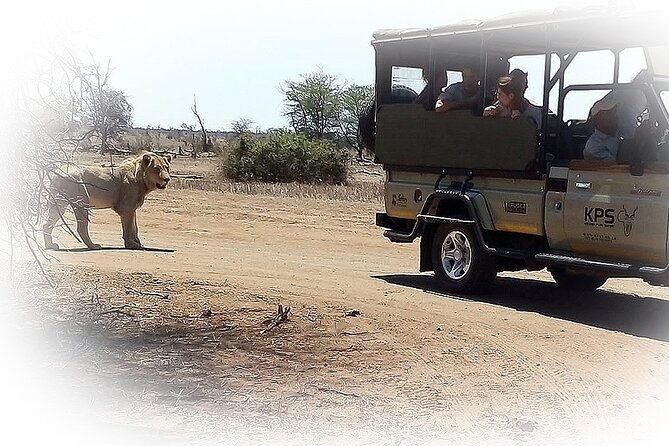 3 Night & 4 Day Private Kruger Park Safari - Recommended by Travelers