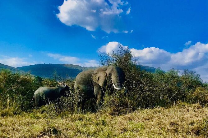 3days/2nights Group Joining Masai Mara - Packing Essentials
