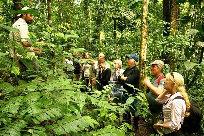 4-Day Amazon Jungle Tour From Iquitos - Traveler Reviews