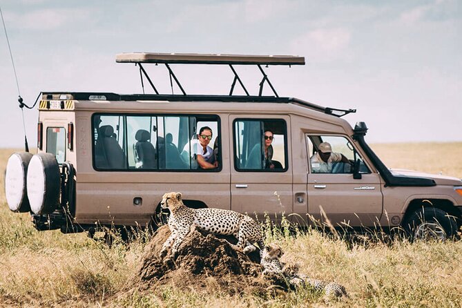 4 Day Ngorongoro Crater Tarangire and Serengeti National Park - Traveler Reviews and Ratings
