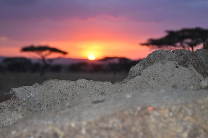 4 Day Safari- Tarangire,Ngorongoro and Serengeti - Frequently Asked Questions