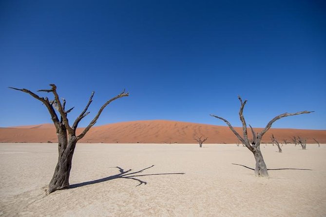 4-Day Swakopmund and Sossusvlei Accommodated Adventure From Windhoek - Age and Accessibility Considerations