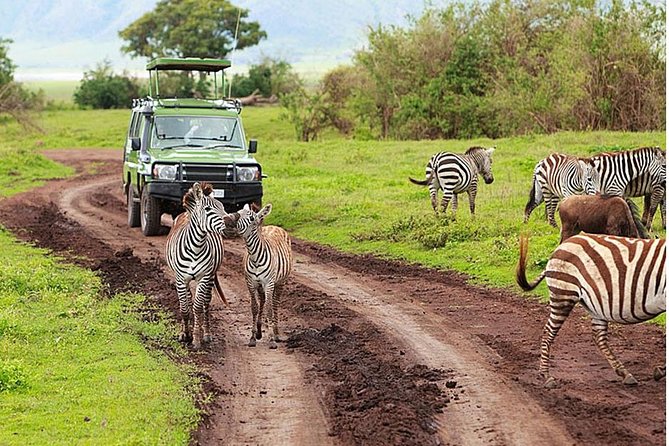 4-Day Tanzania Camping Safari to Lake Manyara, Serengeti, and Ngorongoro Crater - Guest Reviews