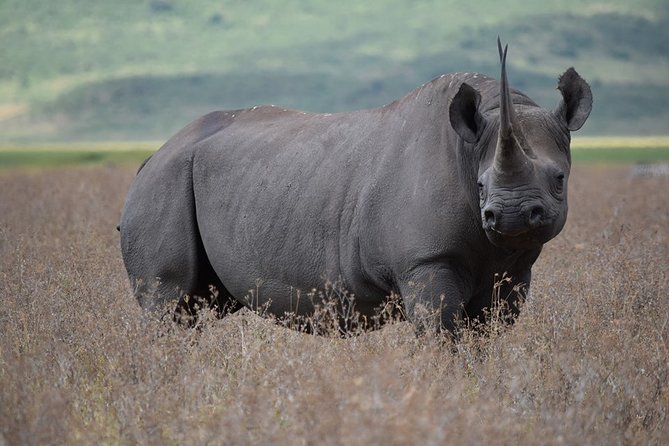 4: Days Big Five Safari - Frequently Asked Questions