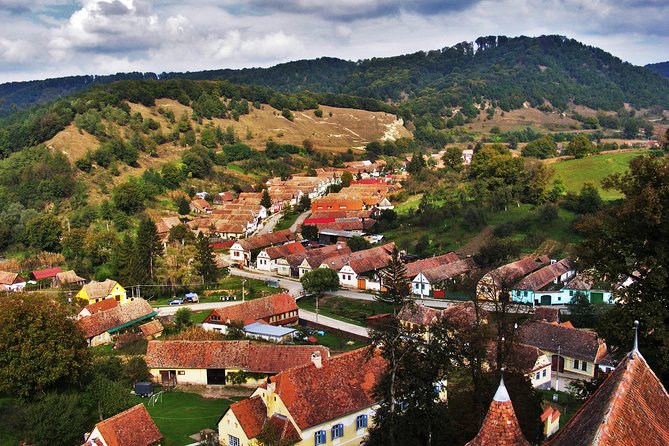 4 Days Private Tour in Transylvania: Sibiu, Sighisoara and Brasov - Dining and Accommodations