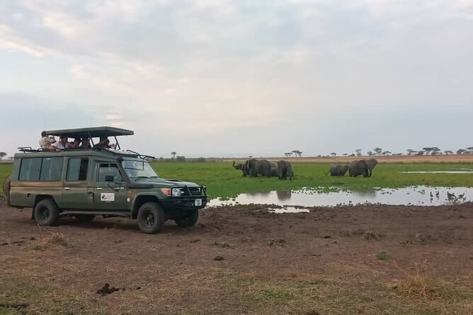 4 Days-SERENGETI SAFARI EXPERENCE START FROM ARUSHA - Accessibility Features