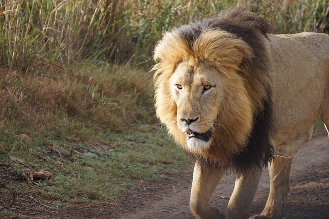 4 Days Tanzania Budget Group Join Safari- Serengeti & Ngorongoro - Packing and Preparation