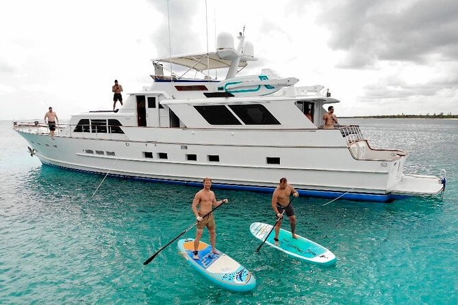 4 Hour - 80 Burger, Tulum, Playa Del Carmen, Riviera Maya - Transportation and Transfers
