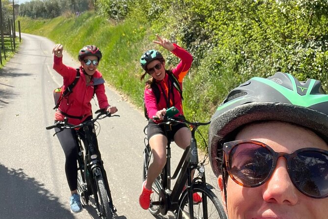 4-Hour Guided E-bike Tour of the Two Wineries in Bardolino - Wine Tasting Experience