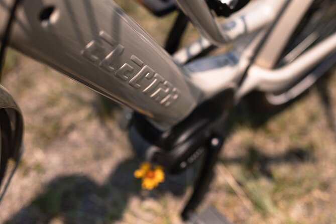 4-Hours E-Bike Food Tour - Tour Guide Feedback