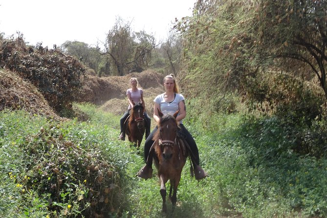 4-Hours Horse Riding, Inca Pyramids in Worlds Largest Dry Forest - Inca Pyramids Exploration