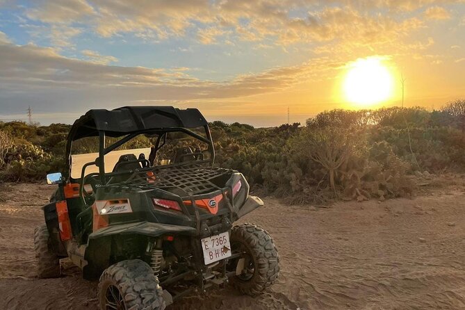 40% Off-Road Buggy Tour in Tenerife - 2 Hours - Since You Asked