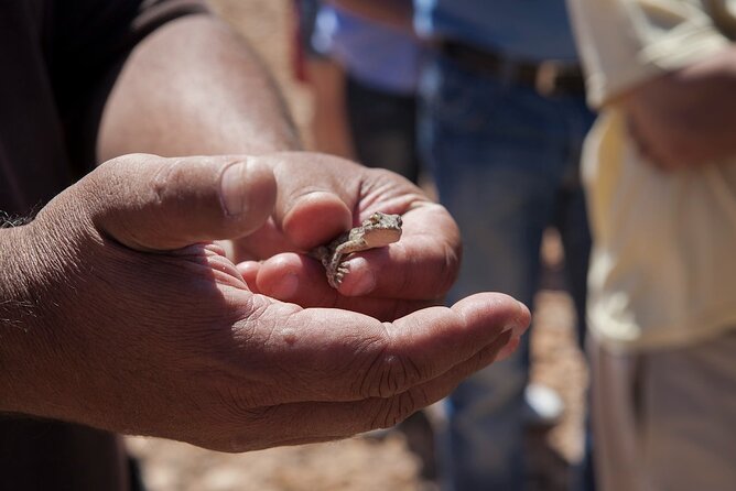 4X4 Safari: Jandía Natural Park and Cofete - Traveler Reviews and Feedback