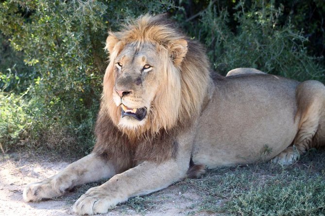5 Day Cape to Addo Safari - Garden Route Small Group Tour - Booking and Cancellation Policy