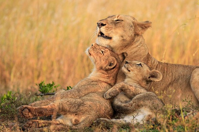5 Day Mid Range Tanzania Safari - Packing and Preparation