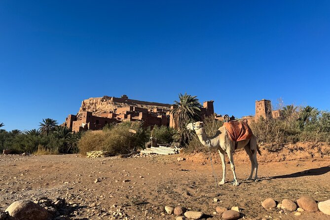 5-Day Private Tour to Sahara and Ergchebbi From Marrakech - Traversing the Sahara