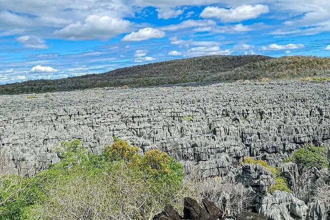5-Day Tour to Discover the North of Madagascar - Highlights of the Tour