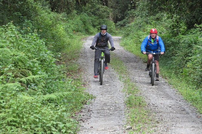 5-Days Kilimanjaro Bike TREK via Marangu Route With BURIGI CHATO SAFARIS CO LTD - Customer Reviews and Experience