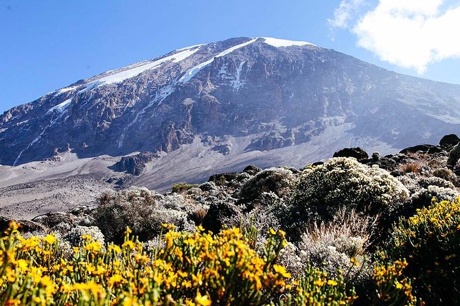 5 Days Marangu Route - Mount Kilimanjaro Trek - Unforgettable Memories