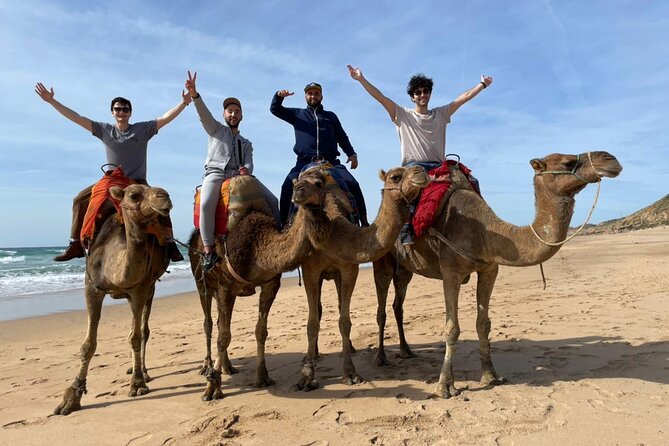 5 Hours Private Tangier Tour - Booking and Cancellation Policy