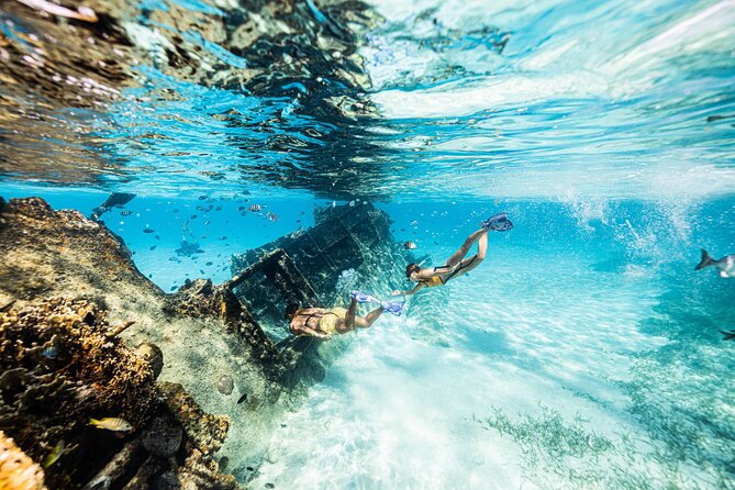 5-in-1 Cancun Adventure: Turtles, Reef, Musa, Shipwreck, Cenote - Pricing and Booking Details