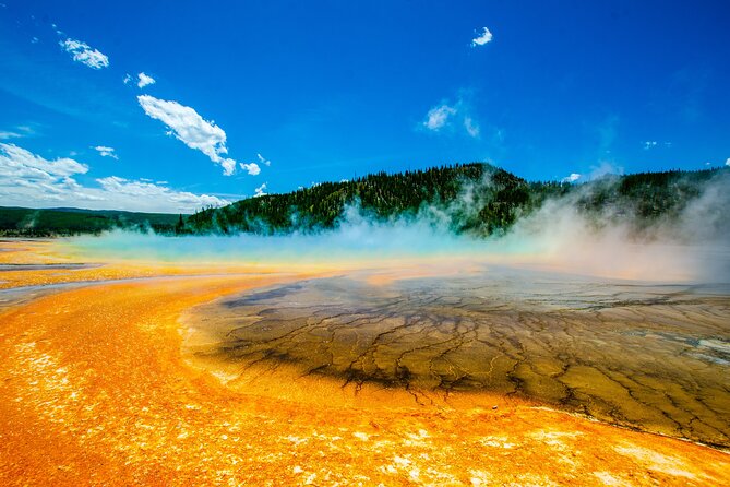 5 Person Full Day PRIVATE Yellowstone Tour- Picnic, Binoculars, Scope, Huge Van - Sum Up