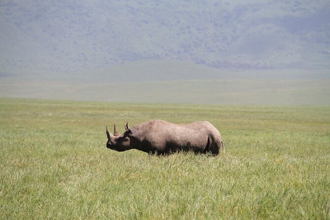 6-Day Big Five Magic Safari Tour - Frequently Asked Questions