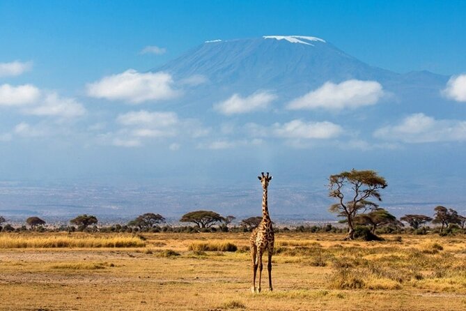 6-Day Kenya Safari to Masai Mara, Lake Nakuru and Amboseli - Optional Activities and Experiences