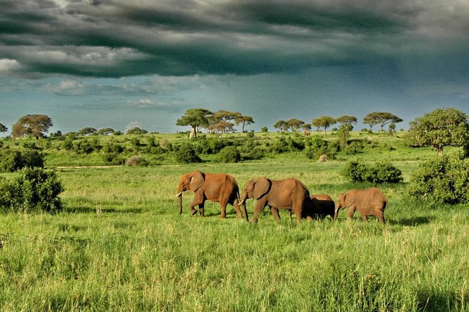 6 Day: Magnificent Wildlife Adventure - Health and Safety Considerations