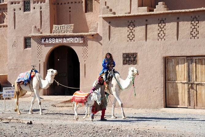 6-Day Private Morocco Cultural Tour From Casablanca To Marrakech - Private Transportation and Airport/Hotel Pickup/Drop-off
