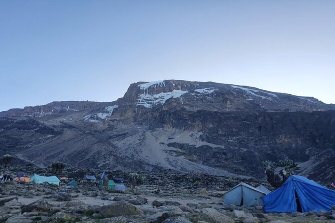 6 Days Climbing Mount Kilimanjaro Machame Route - Reviews and Testimonials