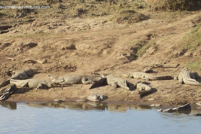 6 Days Guided Safari: Nairobi / Lake Nakuru / Lake Naivasha / Masai Mara N R - Lake Naivasha and Crescent Island