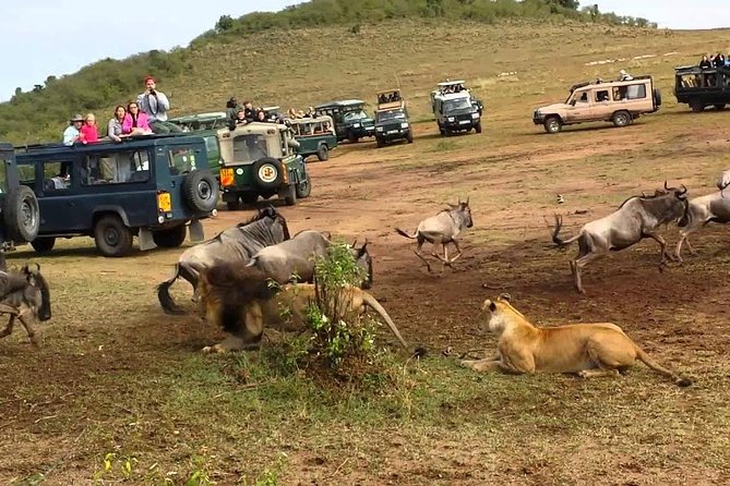 6 Days Private Camping Safari Serengeti, Ngorongoro, Lake Manyara and Tarangire - Accommodations and Meals