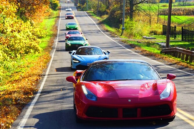 6 Hour Exotic Car Tour Driving 6 Super Cars + Lunch - Caledon Hills Scenery