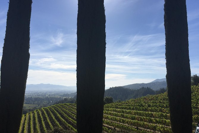 6-Hour Private Wine Country Tour of Napa Valley (Up to 6 People) in Large SUV - Traveler Experiences and Ratings