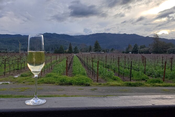 6-Hour Sparkling Wine Tour of Napa Valley - Customizing Your Itinerary