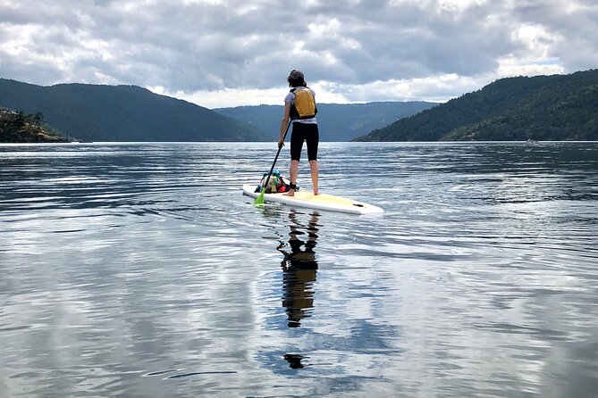 6 Hour SUP Finlayson Arm Fjord - Tour Group Size