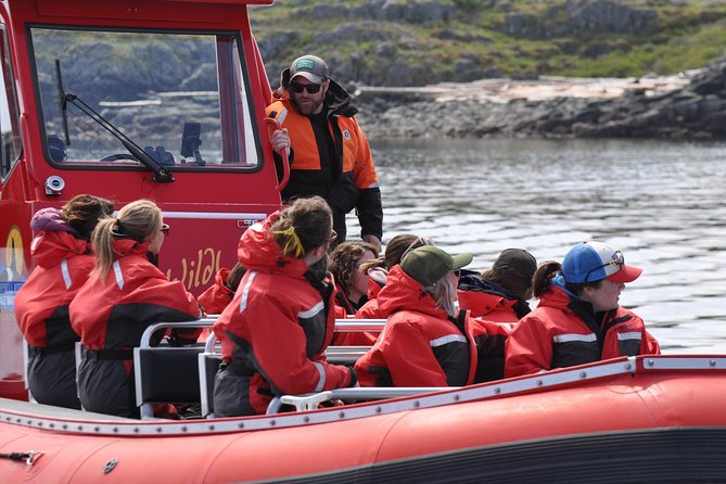 6 Hour Zodiac Whale Watching Tour - Preparing for the Tour
