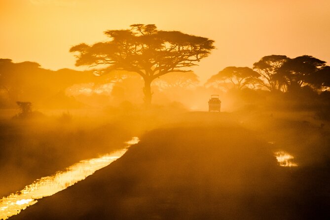 7 Day Grand Tanzania Safari - Transportation and Logistics