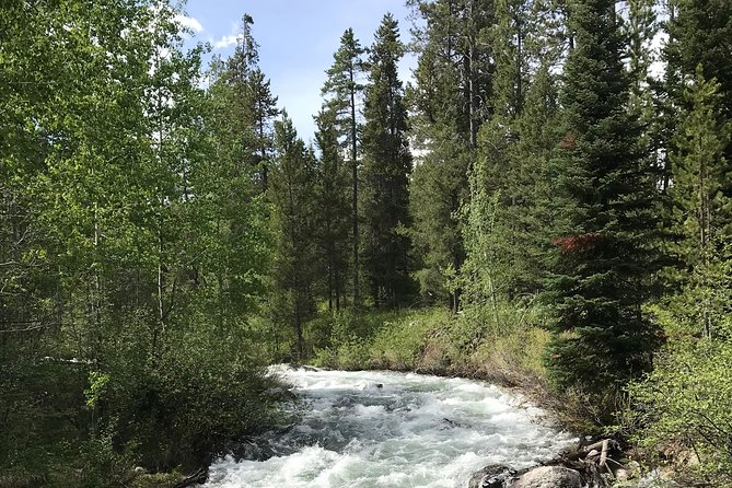 7-Day Small Group Tour: Canadian Rockies and National Parks - Pricing and Cancellation