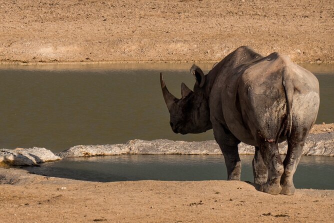 7 Day Taste of Namibia Lodging Safari - Relax in Comfortable Lodgings