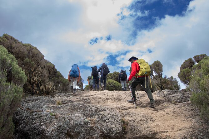 7 Day Trek To The Roof Of Africa Kilimanjaro via Machame Route - Reflecting on the Experience