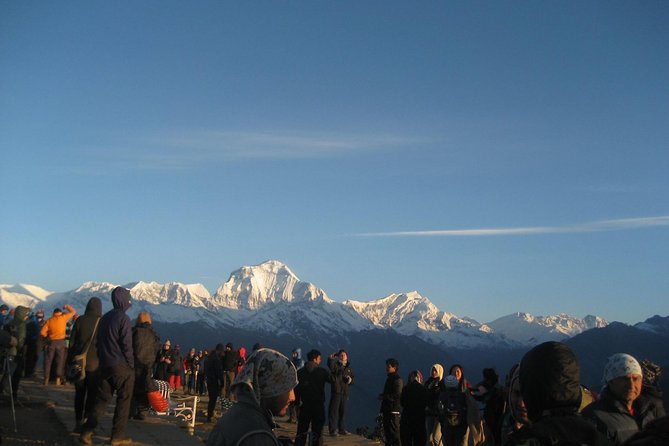 7 Days Annapurna Base Camp Trek From Pokhara With Hot Spring - Reviews and Ratings