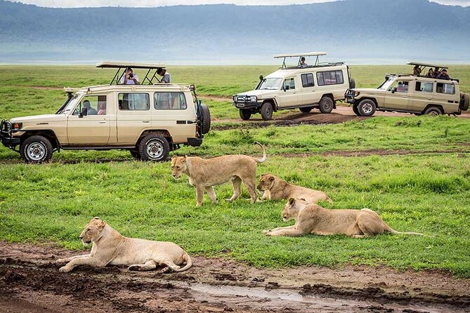 7-Days Private Midrange Safari; Serengeti & Ngorongoro Crater - Pricing and Cancellation Policy