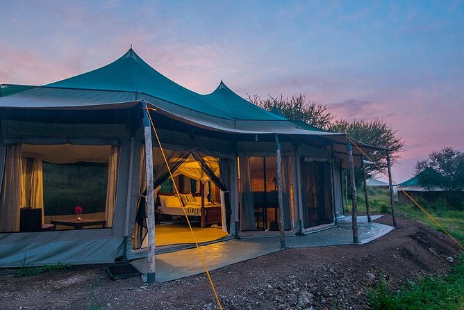 7 Days Wildlife Safari Through Tanzania Best Parks - Accommodations and Dining