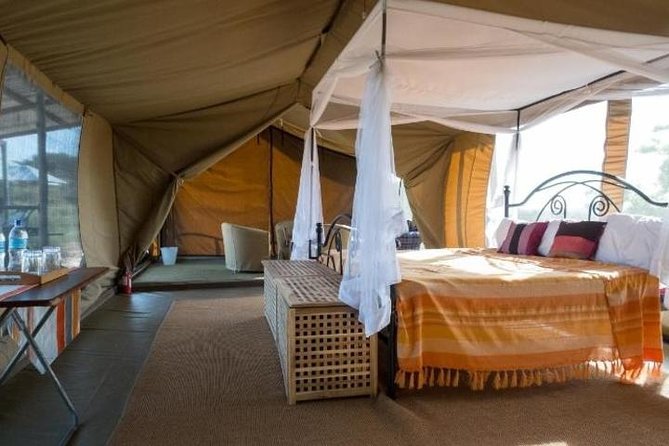 8-Day Kenya and Tanzania Private Lodging Safari From Nairobi - Travel Tips and Considerations