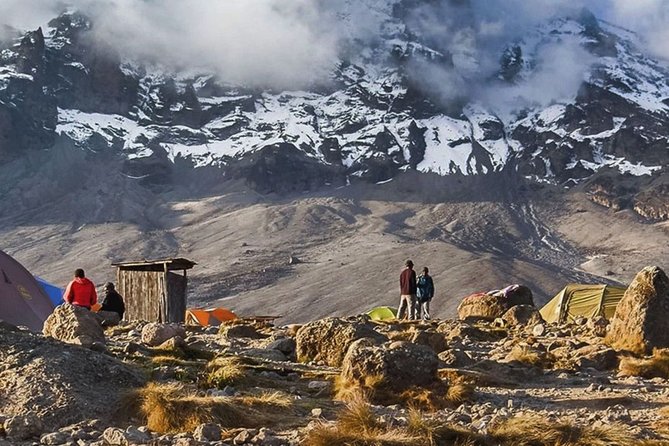 8-Day Lemosho Route Group Hiking on Kilimanjaro - Tips for Successful Hiking