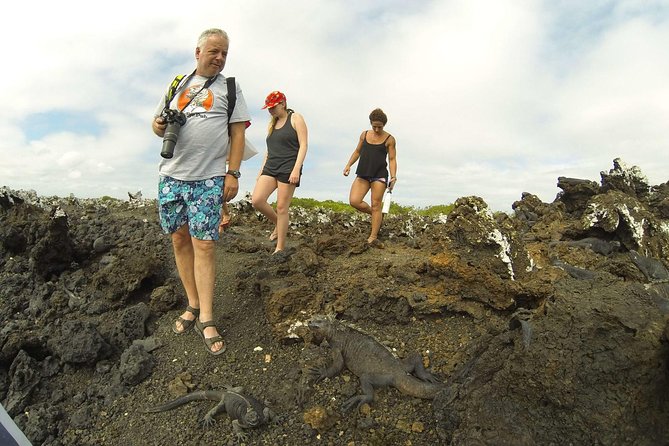 8-Day Machu Picchu & Galapagos Superior: Ultimate Bucket List Experience - Snorkeling in Serene Galapagos Waters